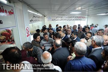 بازدید معاونین شهردار از جایگاه های عرضه دام زنده 31
