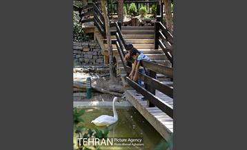 افتتاح اولین "باغچه خبر" در تهران 18