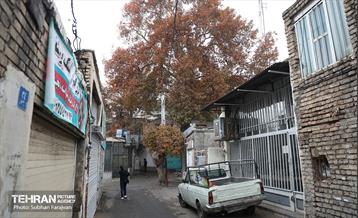 تور گردشگری محله کن 31