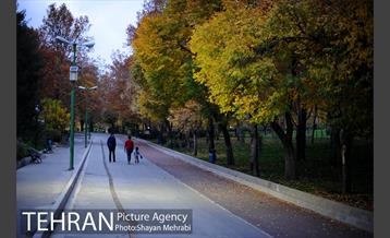 پاییز در بوستان ملت 41