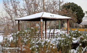 روز برفی در منطقه 13 21