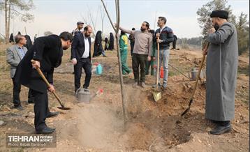 غرس ۲۷۸۲ نهال در سرخه‌حصار به یاد درگذشتگان جامعه پزشکی 11