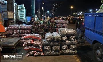 تره‌بار یلدایی 60