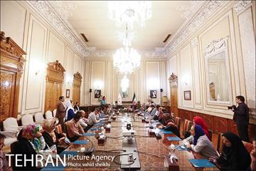 تهران گردی احمد مسجد جامعی به مناسبت روز مشروطه 4