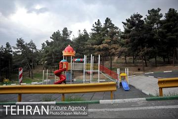 پارک جنگلی لویزان‎ 5