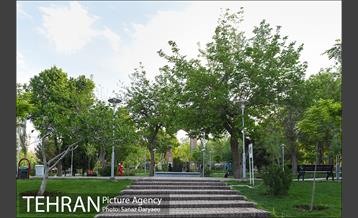 بوستان پلیس 15