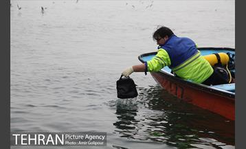 سقوط بالگرد در دریاچه شهدای خلیج فارس