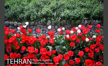 باغ ایرانی (بوستان مهندس مختاری) 30