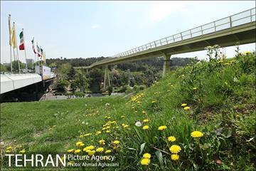 پل جدید بوستان آب و آتش 7