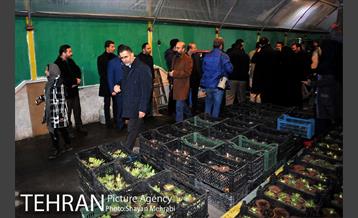 بازدید قائم مقام معاونت اجتماعی و جعمی از هنرمندان از سرای امید طلوع 36