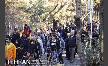 همایش بزرگ پیاده روی خانوادگی شهرداری تهران  7