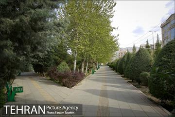 روز طبیعت در بوستان هاى منطقه ٥