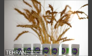 افتتاح مرکز نوآوری تخصصی صنعت غذا 13