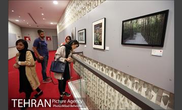 نمایشگاه گروهی سی نما، کیارستمی در پردیس چارسو‎ 6