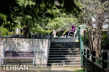 بوستان نیاوران در یک روز آفتابی 18