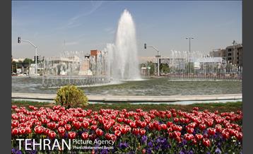 لاله آرایی در منطقه 20