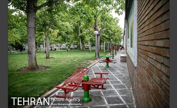 بوستان سیمرغ 15