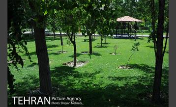 بوستان تمدن (گلبرگ) 4