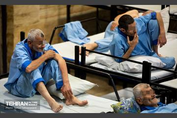 شرکت کنندگان دوره آرمانشهر در یاورشهر 25