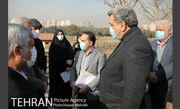 بازدید صبح گاهی شهردار تهران از مجموعه دریاچه شهدای خلیج فارس 11