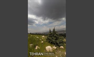 بوستان جنگلی سرخه حصار 9