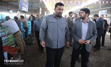 بازدید از مرکز عرضه بهداشتی دام ویژه عید قربان 45