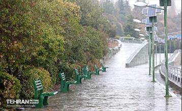 بارش باران زمستانی در تهران 28