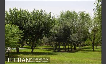 بوستان پردیس بانوان 16