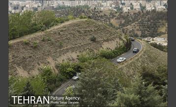 بوستان جنگلی لویزان 14