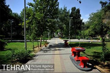 بوستان هفت چنار 10