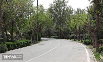 بوستان بانوان نرگس 18