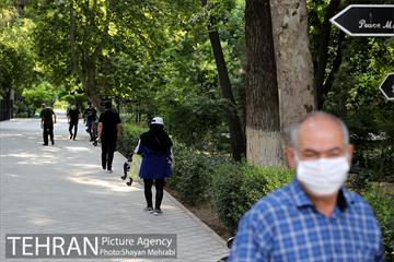 طرح پاکسازی پارک شهر تهران از فیلترهای سیگار  18
