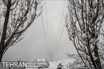 برف زمستانی پارک جمشیدیه 12