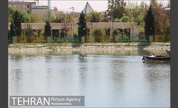 حضور پرندگان مهاجر در تهران 18