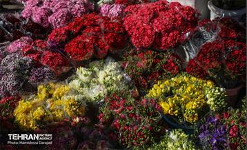 بازار گل محلاتی  2