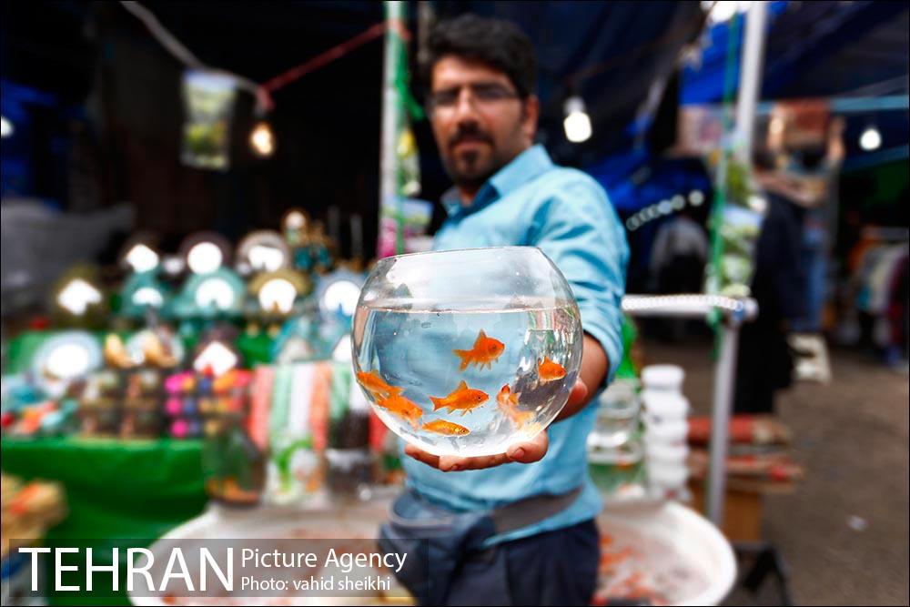 بازارچه نوروزی  7