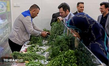 افتتاح بازار میوه و تره‌بار در منطقه 22 17