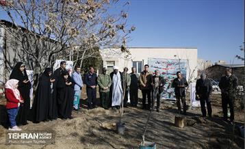 آیین کاشت 1310 نهال در منطقه 5 32