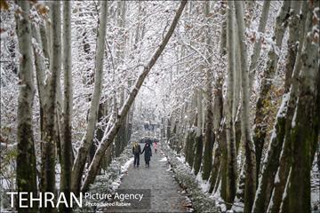 برف زمستانی پارک جمشیدیه 24