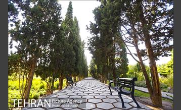 باغ گیاه شناسی ملی ایران  4