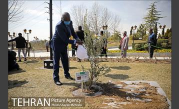 مراسم کاشت درخت صلح و دوستی 27