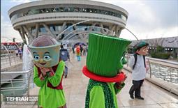 برج میلاد در ایام نوروز 23