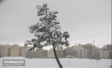 بارش برف زمستانی در تهران 9