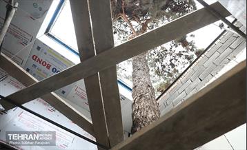 توسعه متروی تهران؛ ایستگاه بهار شیراز 3
