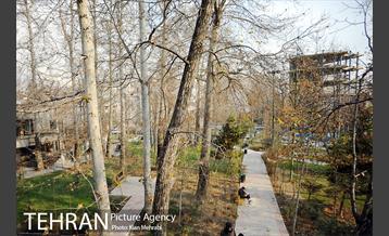 بوستان قلمستان 30