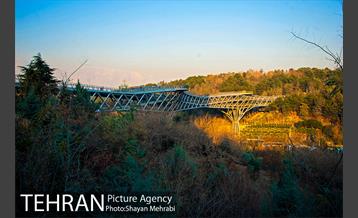 پاییز پل طبیعت 23