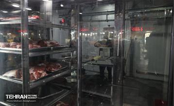 خدمات رسانی بازارهای میوه و تره‌بار 5