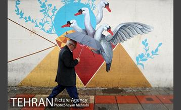 بارش باران بهاری در تهران  17