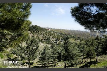 روز طبیعت در منطقه ۵ 45