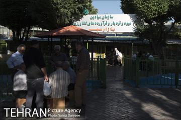 بوستان شقایق 12
